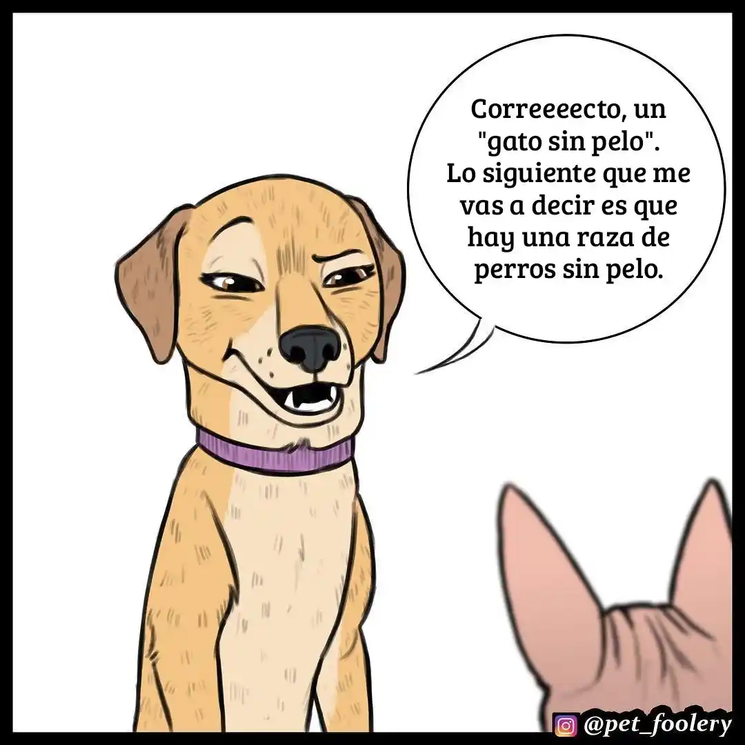 Pixie And Brutus - Capítulo 7 - Página 5 - LectorTMOo