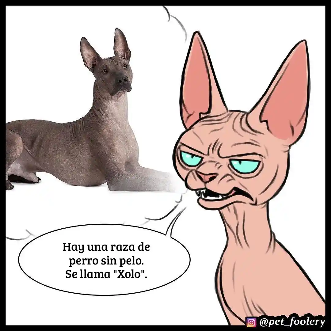 Pixie And Brutus - Capítulo 7 - Página 6 - LectorTMOo