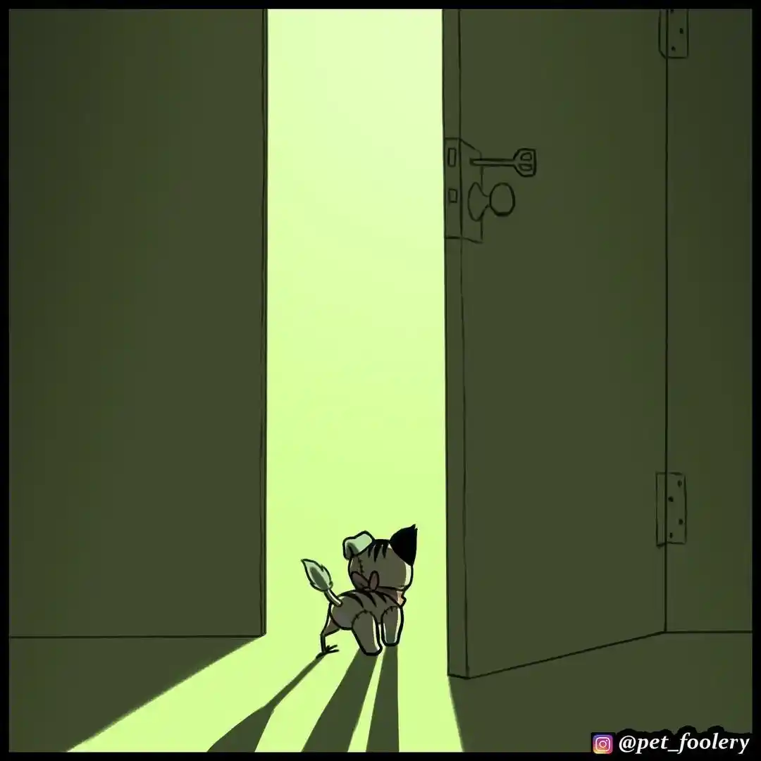 Pixie And Brutus - Capítulo 73 - Página 3 - LectorTMOo