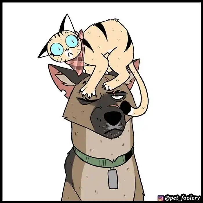 Pixie And Brutus - Capítulo 74 - Página 9 - LectorTMOo