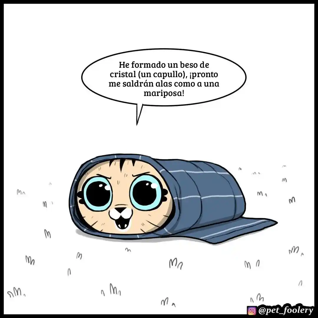 Pixie And Brutus - Capítulo 76 - Página 2 - LectorTMOo