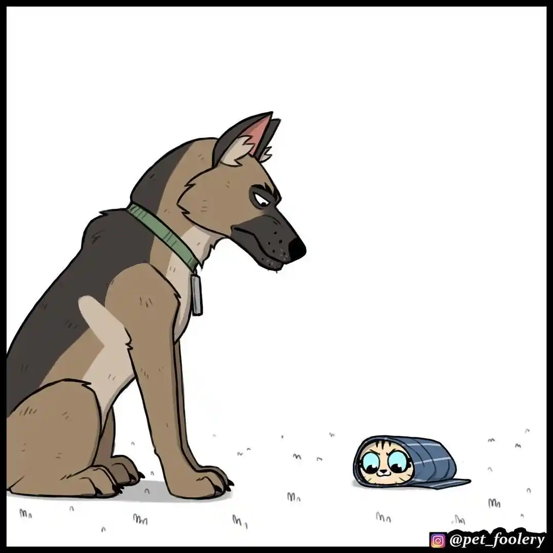 Pixie And Brutus - Capítulo 76 - Página 5 - LectorTMOo