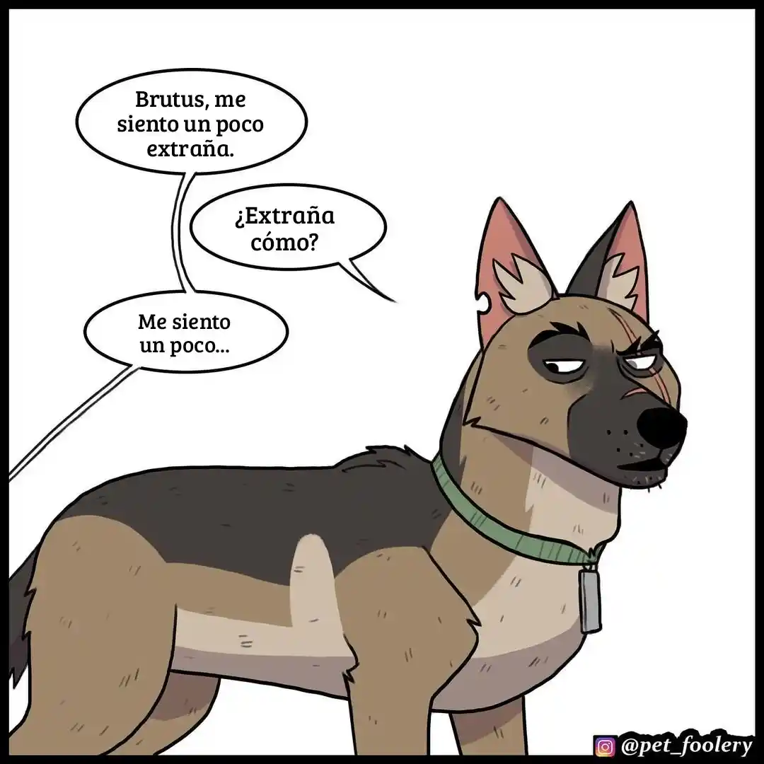 Pixie And Brutus - Capítulo 78 - Página 1 - LectorTMOo