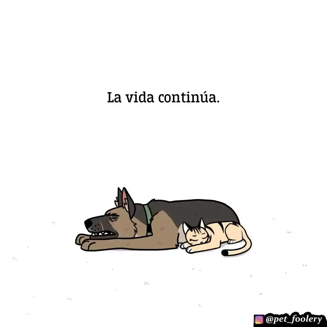 Pixie And Brutus - Capítulo 79 - Página 15 - LectorTMOo