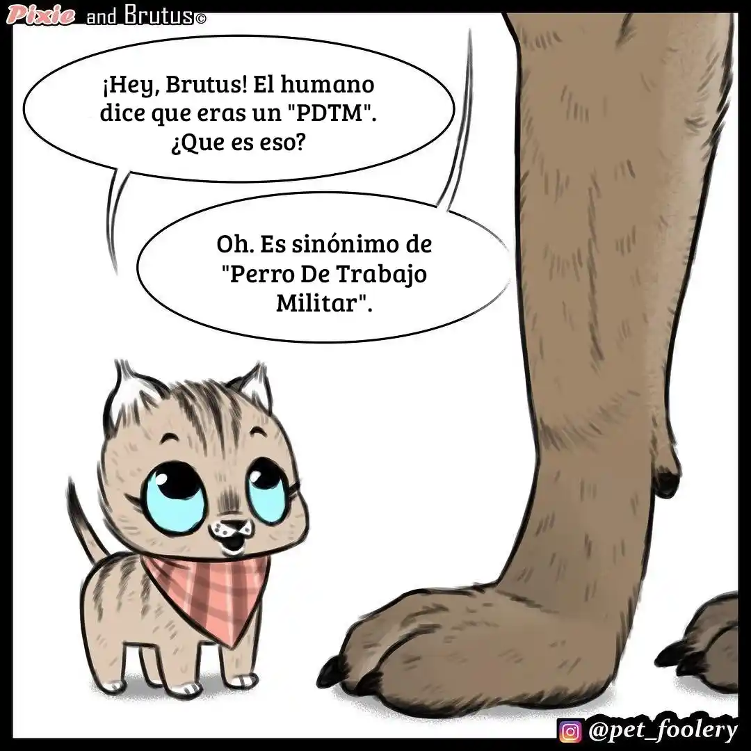 Pixie And Brutus - Capítulo 8 - Página 1 - LectorTMOo