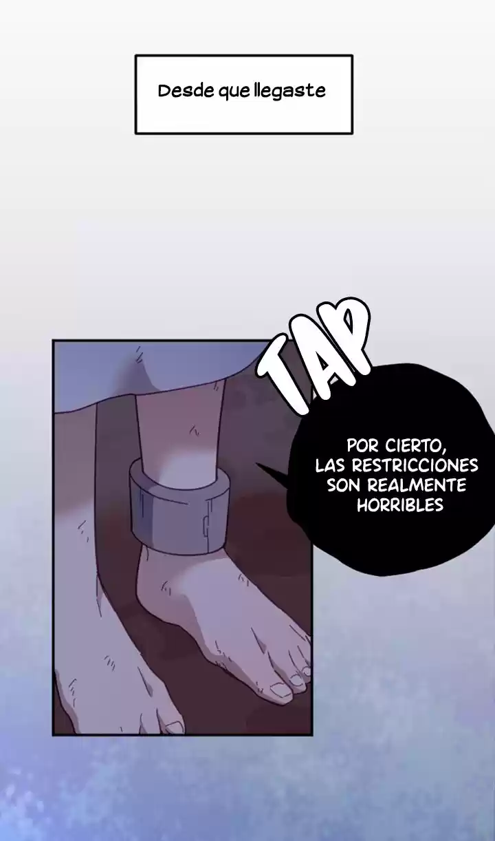 Plantando Un Corazón Al Emperador - Capítulo 13 - Página 51 - LectorTMOo