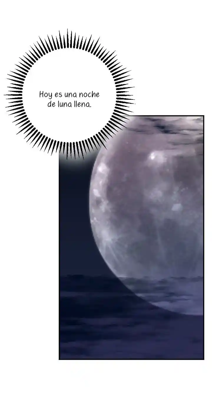 Plantando Un Corazón Al Emperador - Capítulo 53 - Página 51 - LectorTMOo