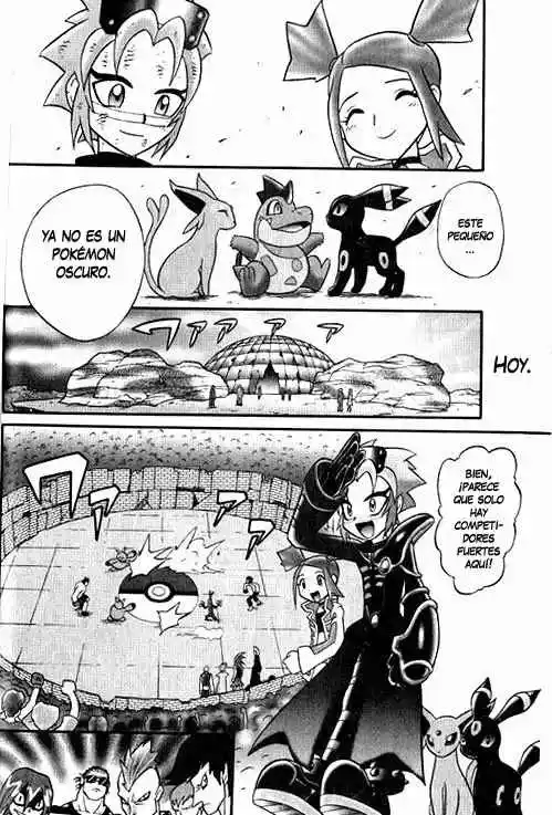 Pokemon Conquest - Capítulo 2 - Página 15 - LectorTMOo
