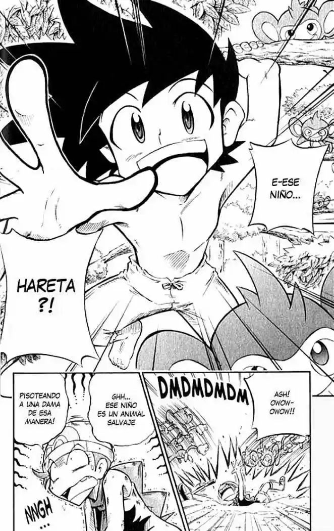Pokemon Diamond And Pearl Adventure - Capítulo 1 - Página 12 - LectorTMOo