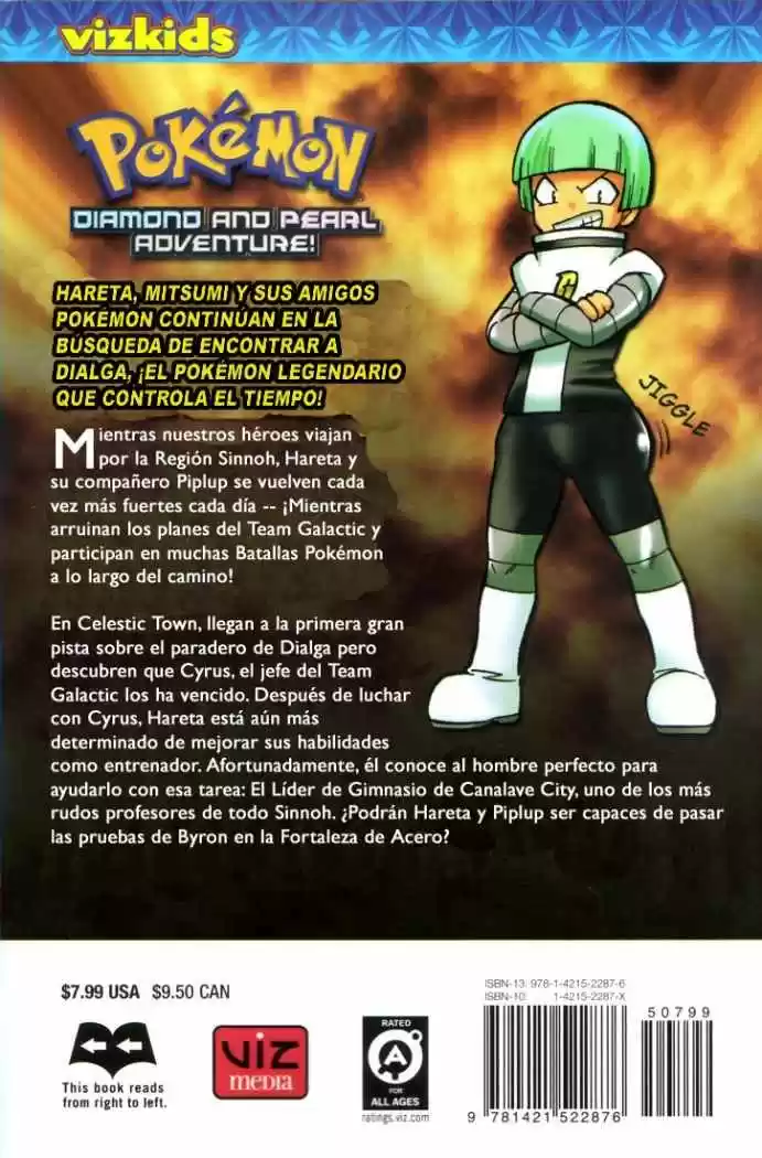 Pokemon Diamond And Pearl Adventure - Capítulo 10 - Página 43 - LectorTMOo