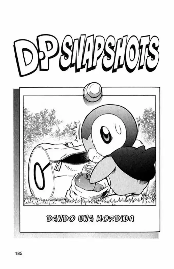Pokemon Diamond And Pearl Adventure - Capítulo 5 - Página 31 - LectorTMOo
