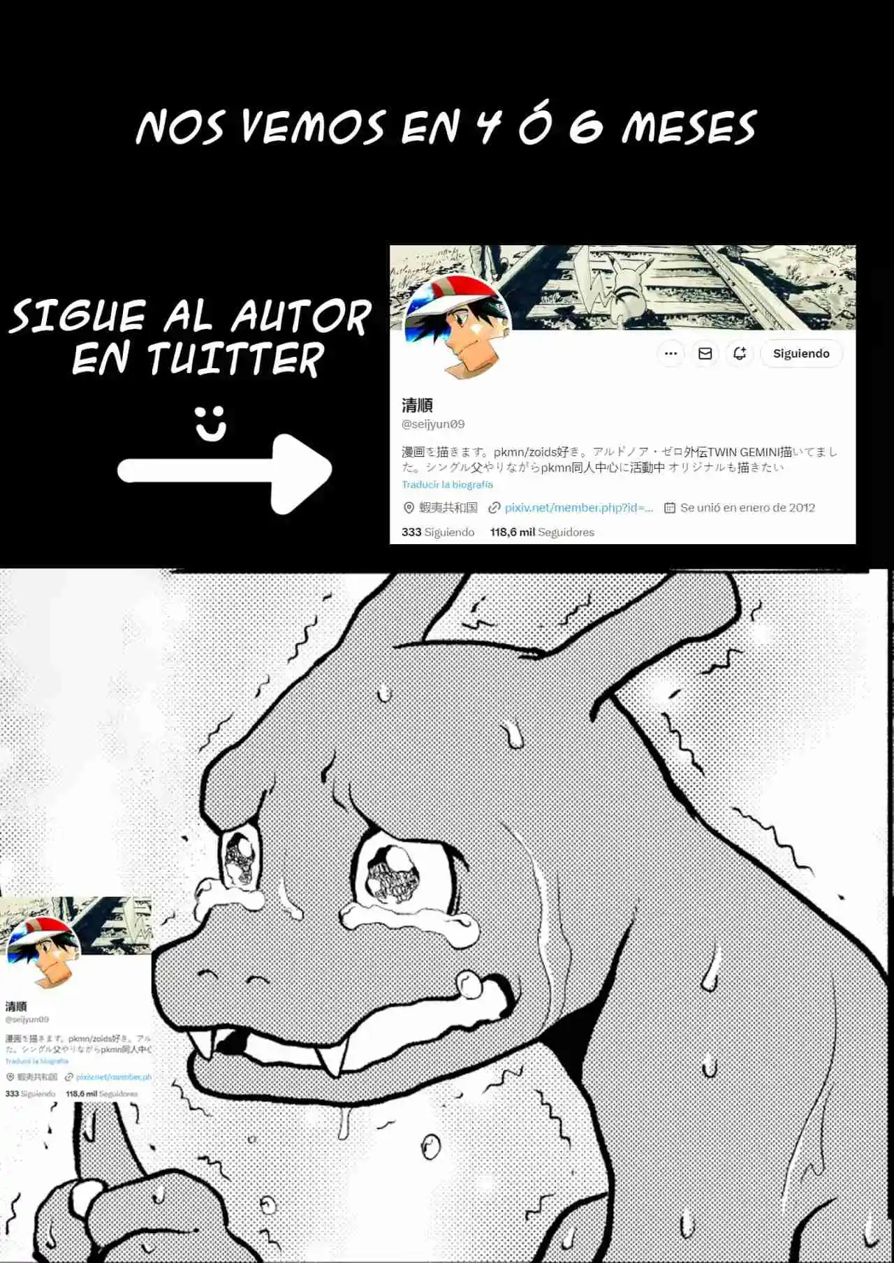 Pokemon - Festival Of Champions - Capítulo 15 - Página 29 - LectorTMOo