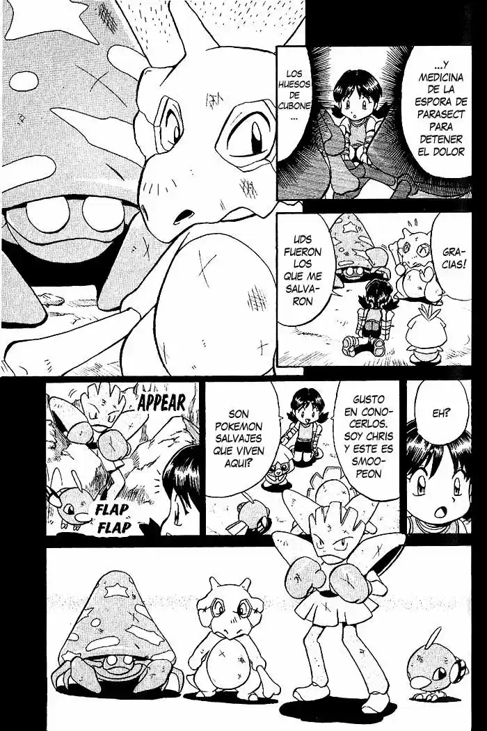 Pokemon Special (Pokémon Adventure) - Capítulo 135 - Página 4 - LectorTMOo
