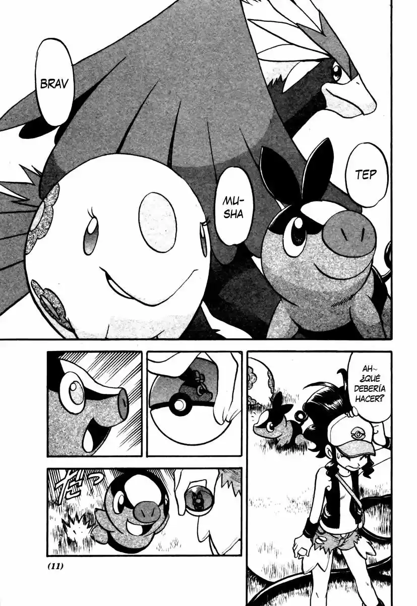 Pokemon Special (Pokémon Adventure) - Capítulo 465 - Página 12 - LectorTMOo