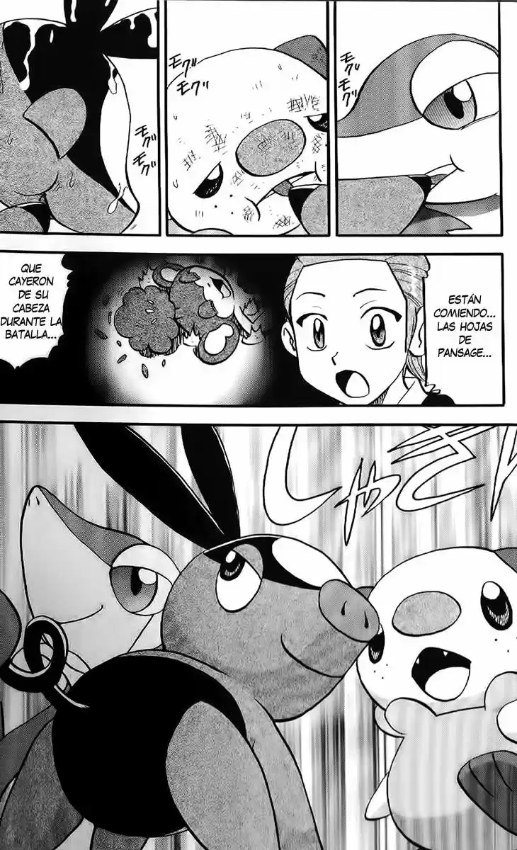 Pokemon Special (Pokémon Adventure) - Capítulo 470 - Página 19 - LectorTMOo
