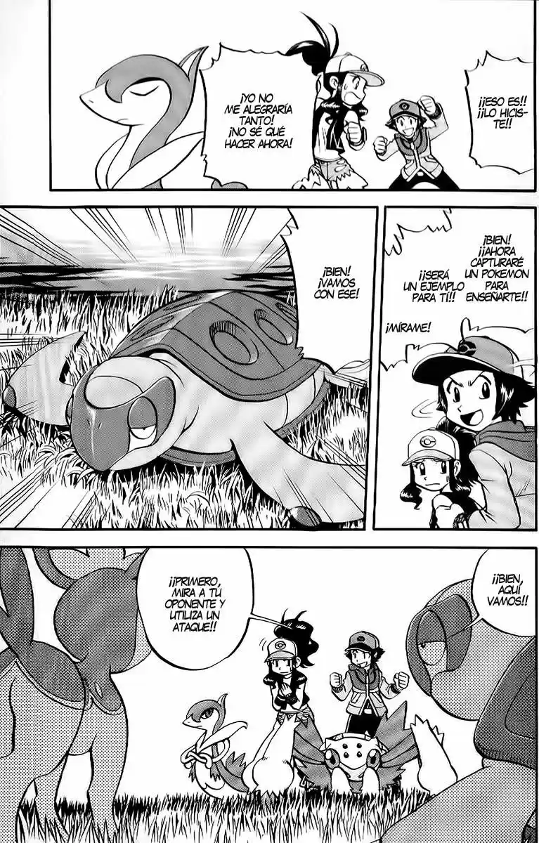 Pokemon Special (Pokémon Adventure) - Capítulo 488 - Página 12 - LectorTMOo