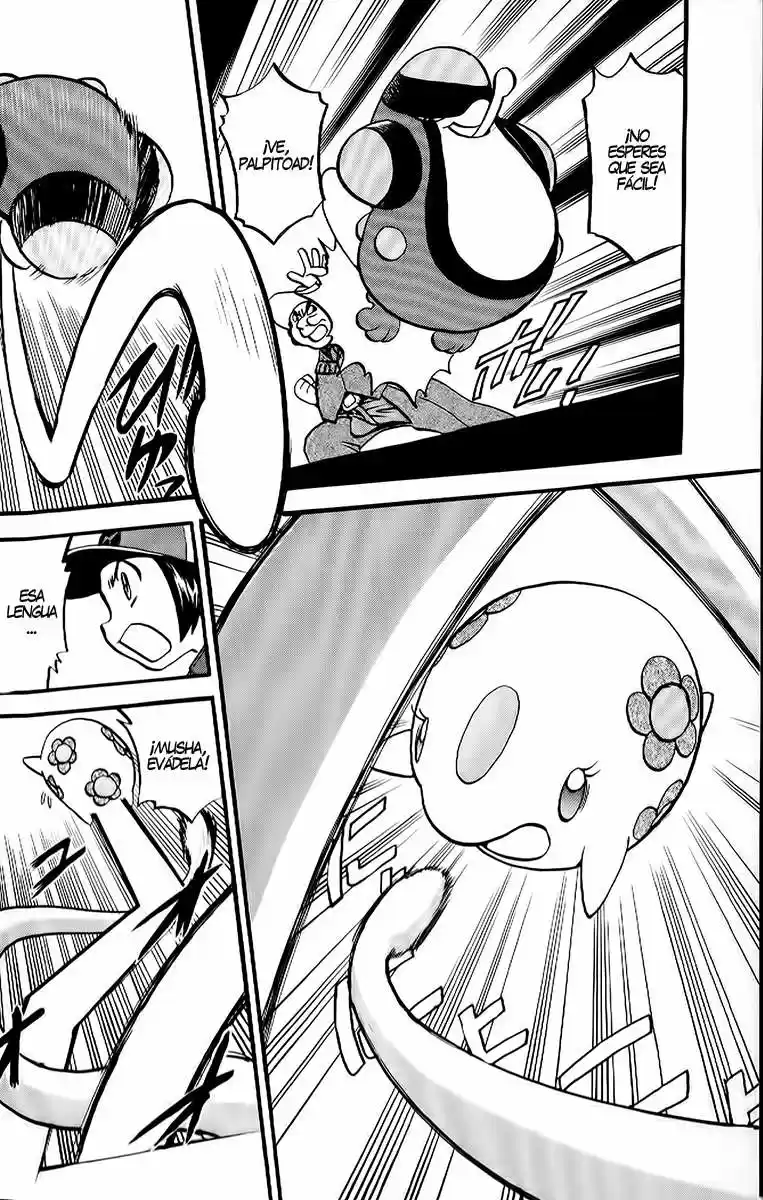 Pokemon Special (Pokémon Adventure) - Capítulo 493 - Página 4 - LectorTMOo