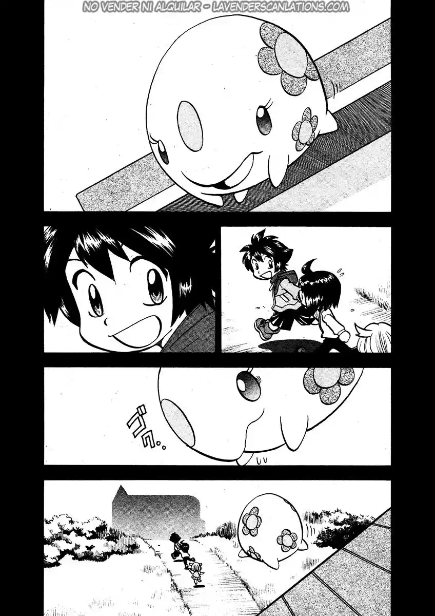 Pokemon Special (Pokémon Adventure) - Capítulo 502 - Página 15 - LectorTMOo