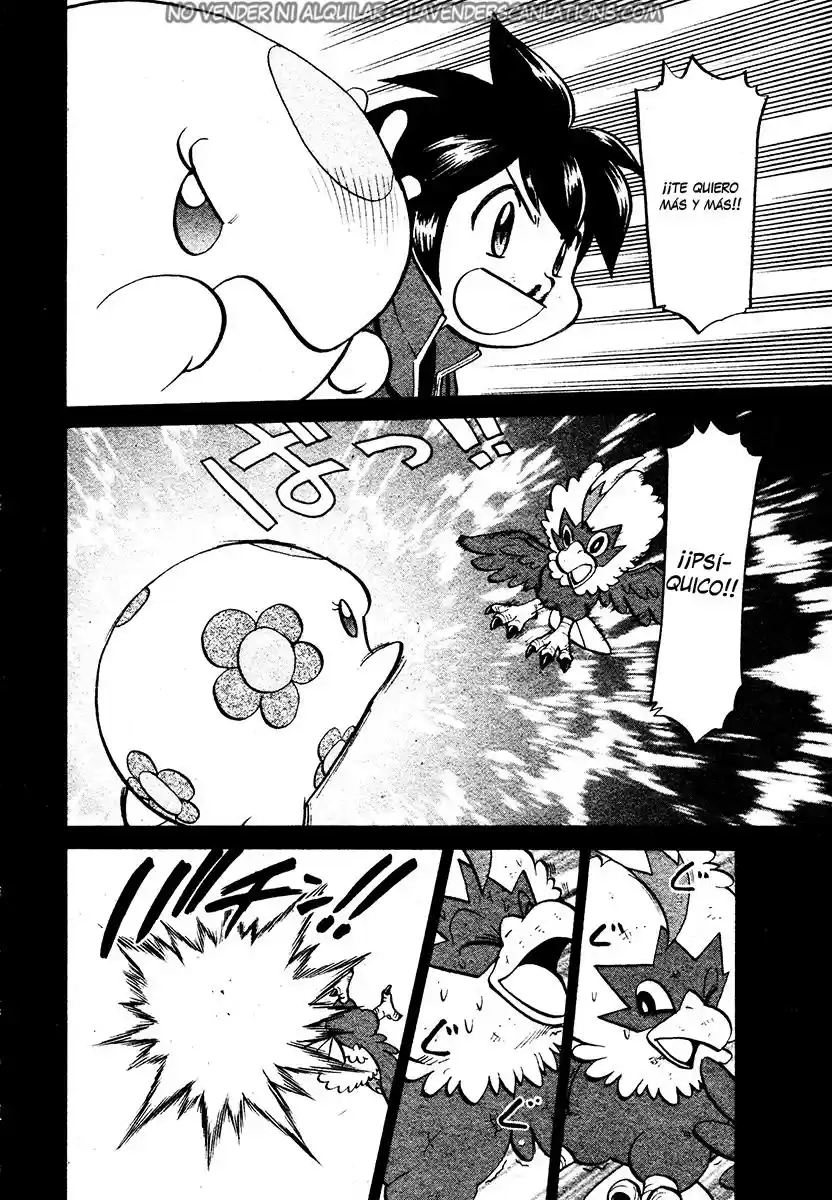 Pokemon Special (Pokémon Adventure) - Capítulo 503 - Página 17 - LectorTMOo