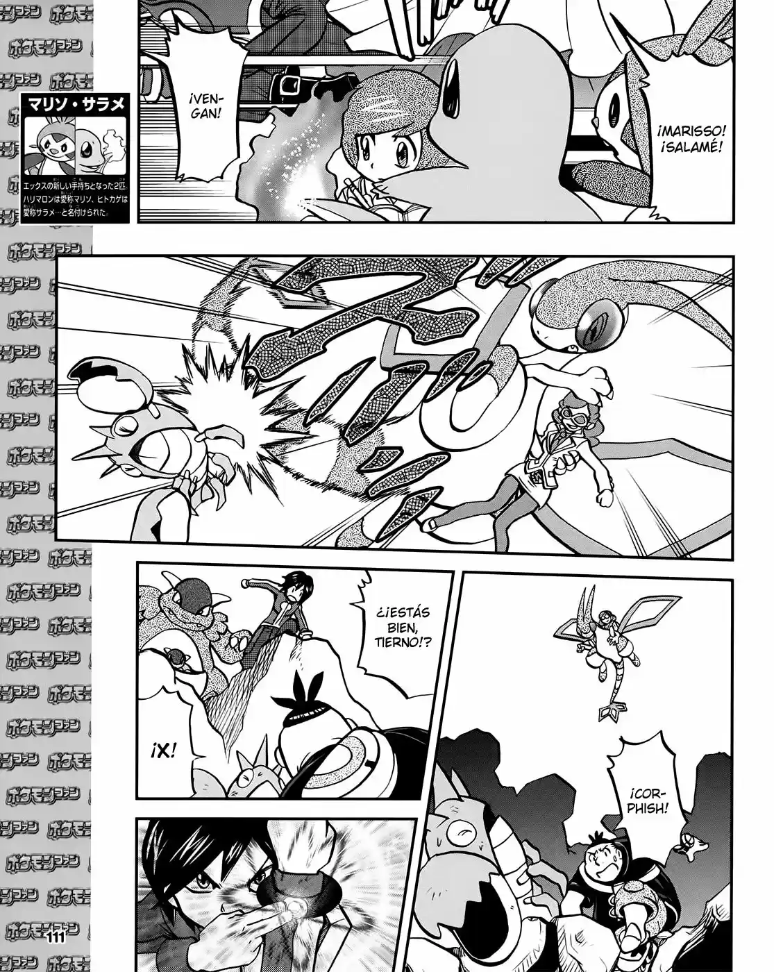 Pokemon Special XY - Capítulo 11.60 - Página 18 - LectorTMOo