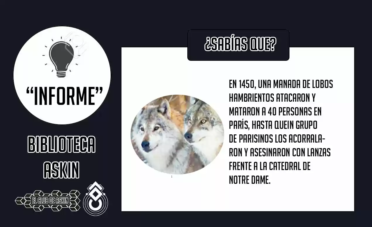 Ponkotsu-chan Kenshouchuu - Capítulo 16 - Página 17 - LectorTMOo