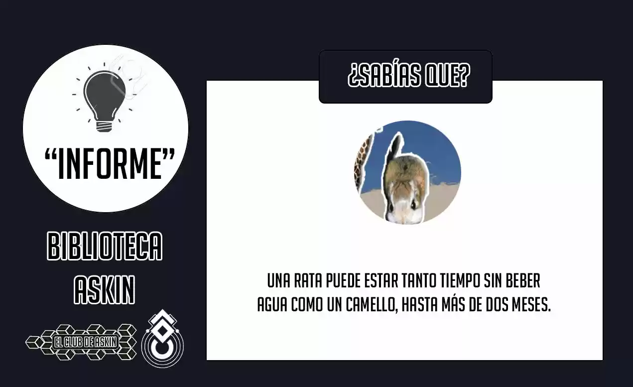 Ponkotsu-chan Kenshouchuu - Capítulo 29 - Página 18 - LectorTMOo