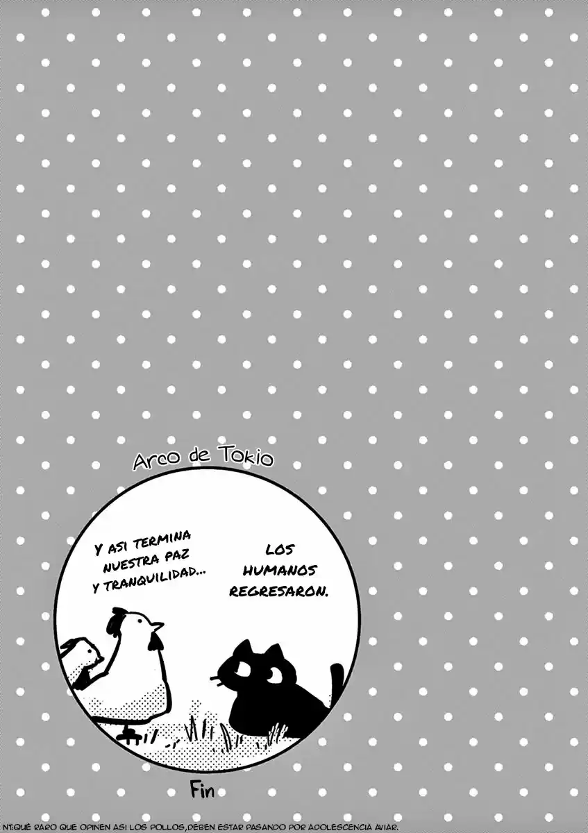 Ponkotsu Ponko - Capítulo 61 - Página 19 - LectorTMOo