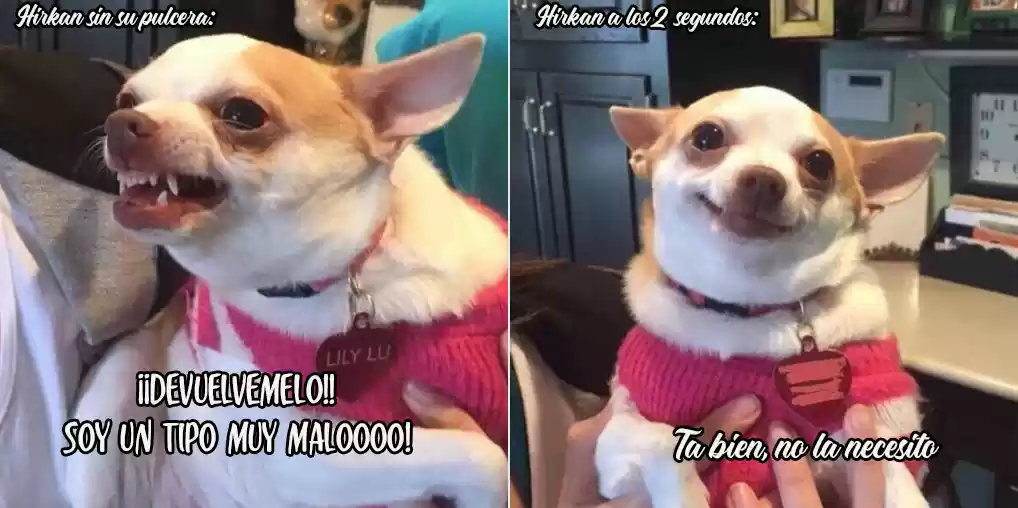 Por Favor No Me Comas - Capítulo 37 - Página 42 - LectorTMOo