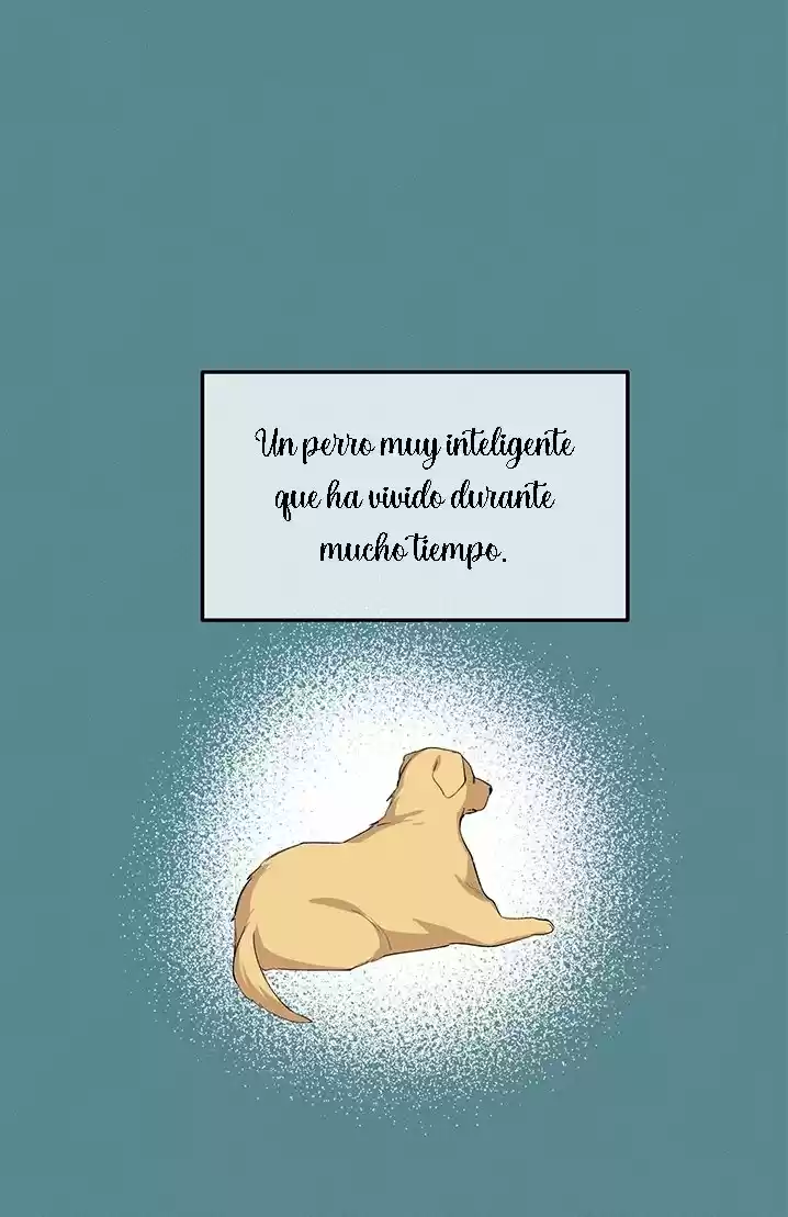 Por Favor, Respóndeme Príncipe - Capítulo 18 - Página 5 - LectorTMOo