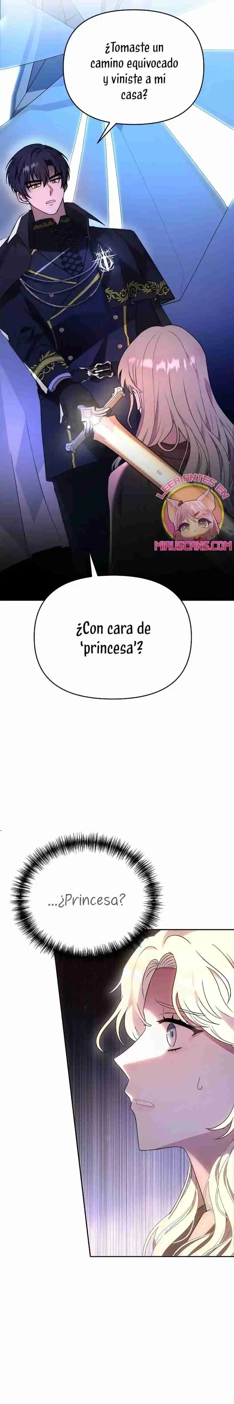 Por La Princesa Que Desaparecerá - Capítulo 3 - Página 47 - LectorTMOo