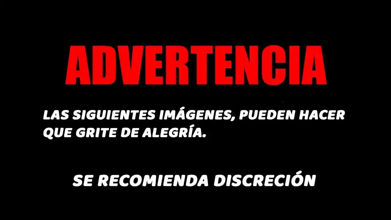 POR MI HERMANO CONQUISTARÉ AL PROTAGONISTA MASCULINO PRINCIPAL (Novela) - Capítulo 117 - Página 5 - LectorTMOo