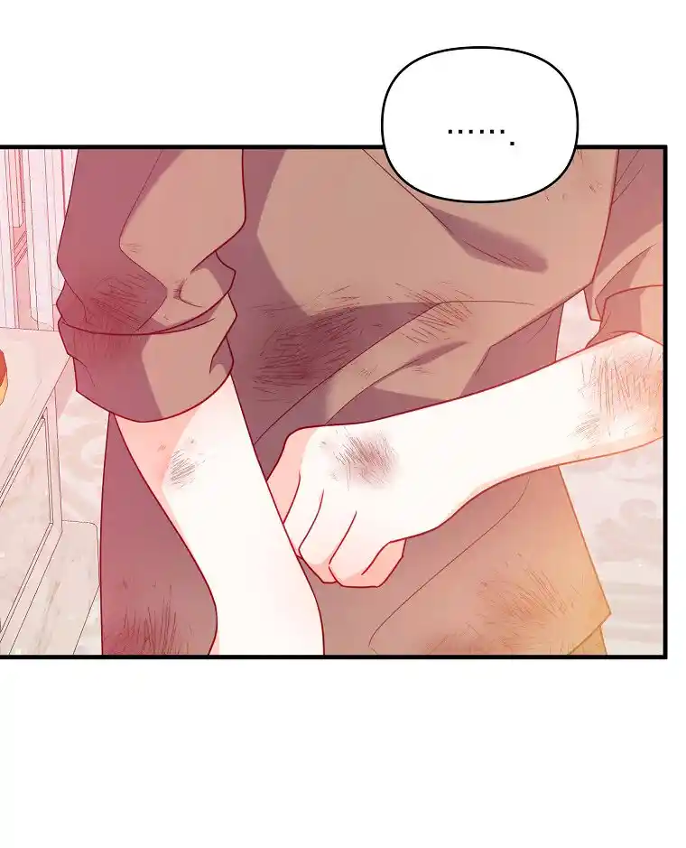 Por Mi Hermano, Conquistaré Al Protagonista Masculino - Capítulo 2 - Página 12 - LectorTMOo