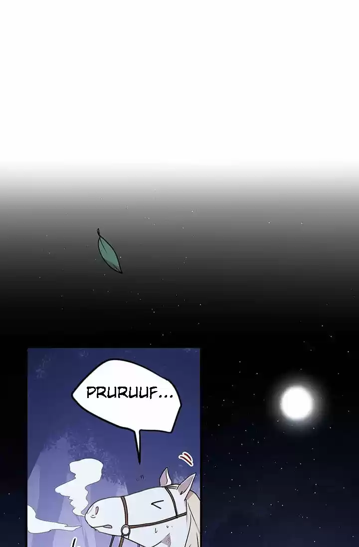 ¿Por Qué Haces Esto, Duque? - Capítulo 27 - Página 11 - LectorTMOo