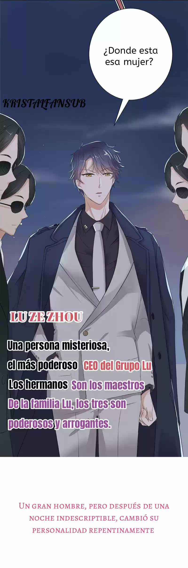 Presidente Sexi, Persiguiendo A Su Esposa - Capítulo  - Página 11 - LectorTMOo