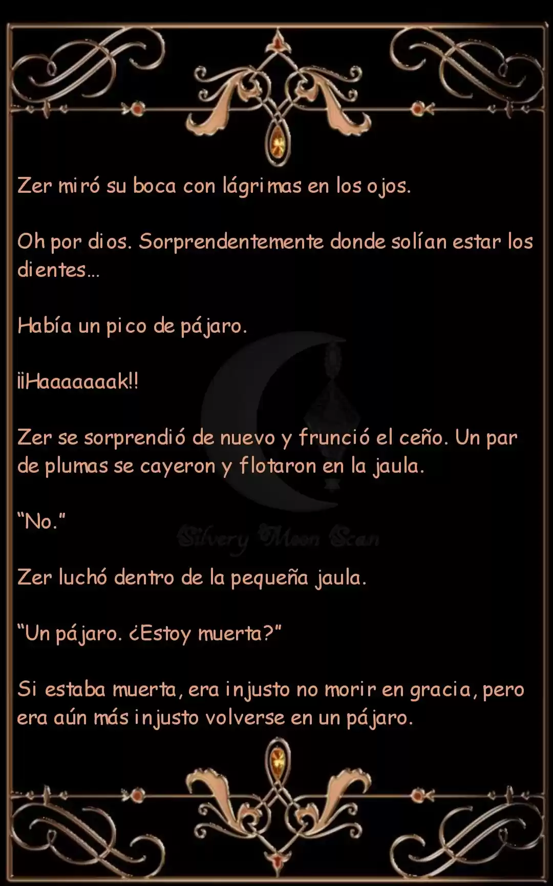 Princesa Cavier Falcon (Novela) - Capítulo - Página 11 - LectorTMOo
