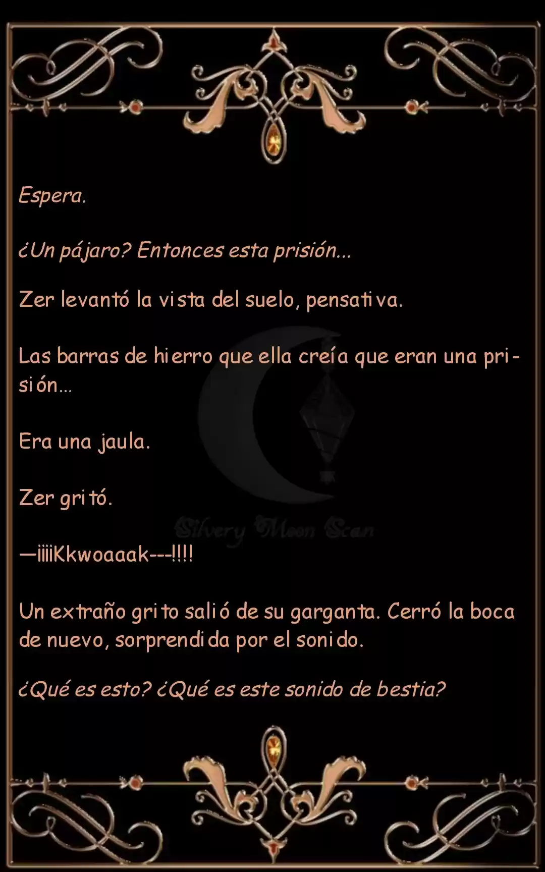 Princesa Cavier Falcon (Novela) - Capítulo - Página 12 - LectorTMOo