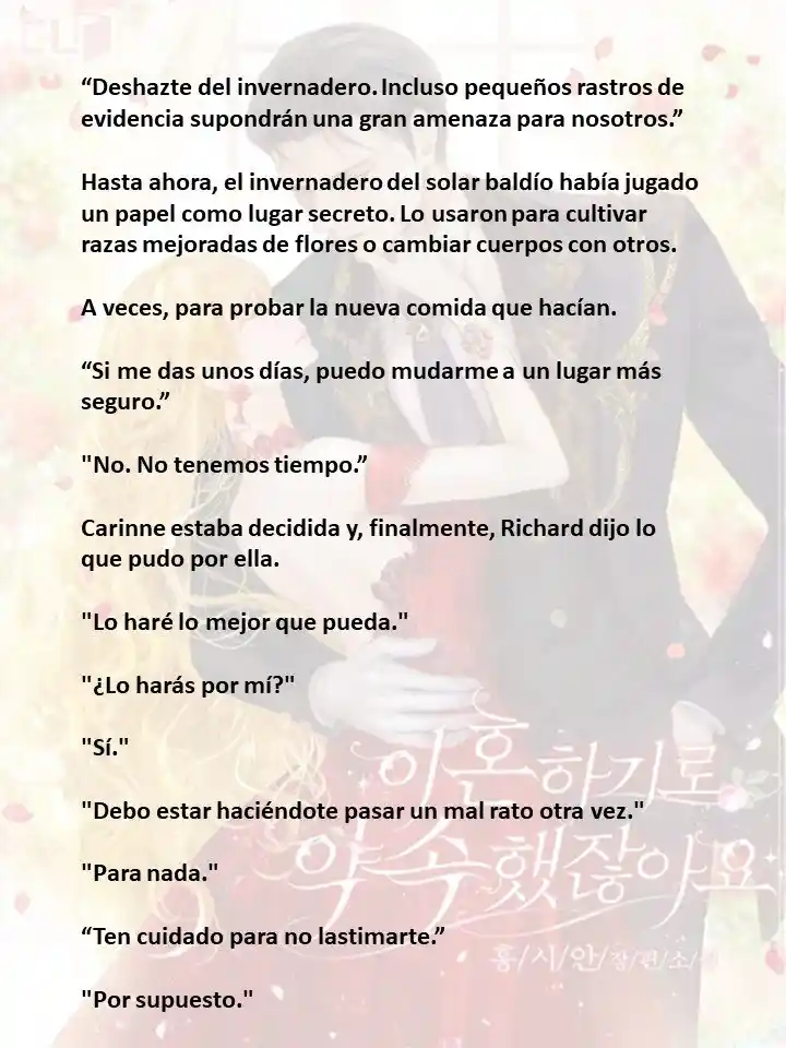 Prometiste Divorciarte De Mí (Novela) - Capítulo 28 - Página 10 - LectorTMOo