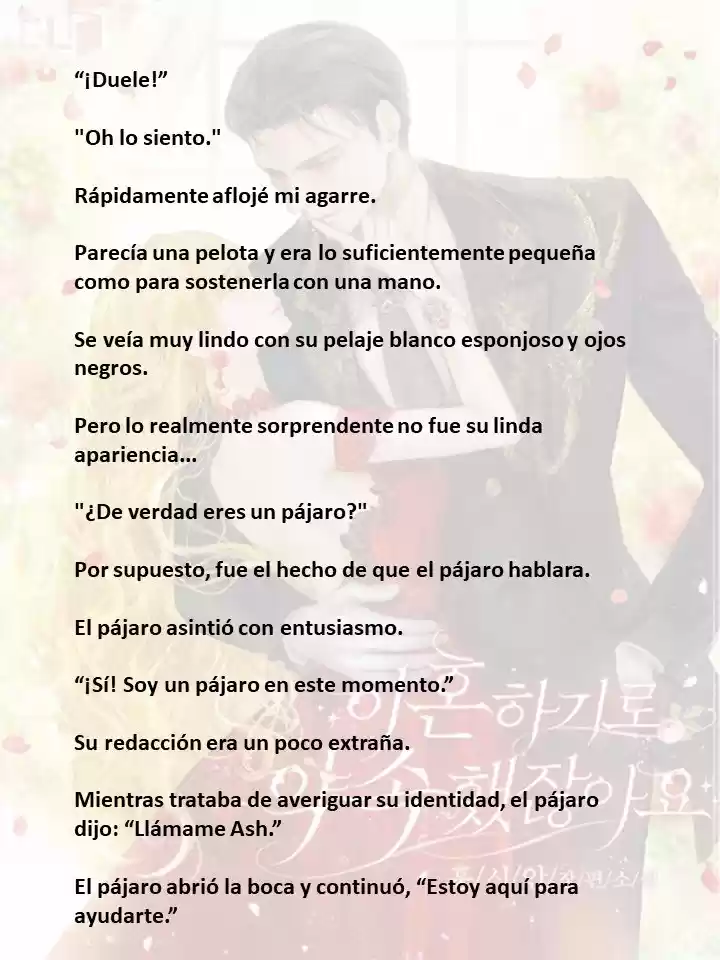 Prometiste Divorciarte De Mí (Novela) - Capítulo 3 - Página 13 - LectorTMOo