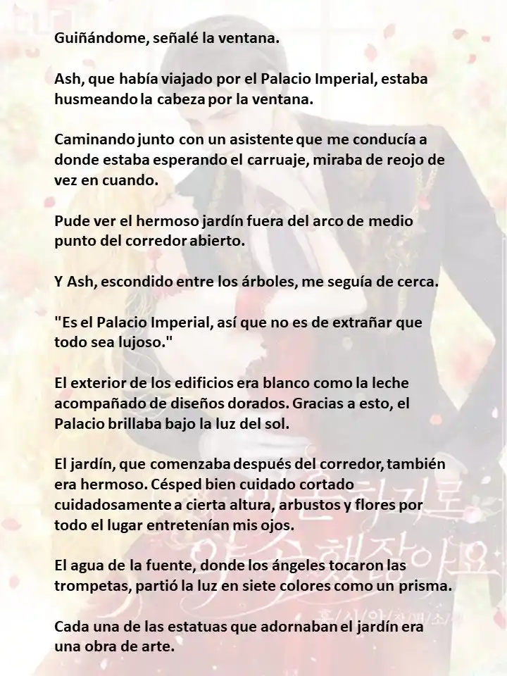 Prometiste Divorciarte De Mí (Novela) - Capítulo 31 - Página 12 - LectorTMOo