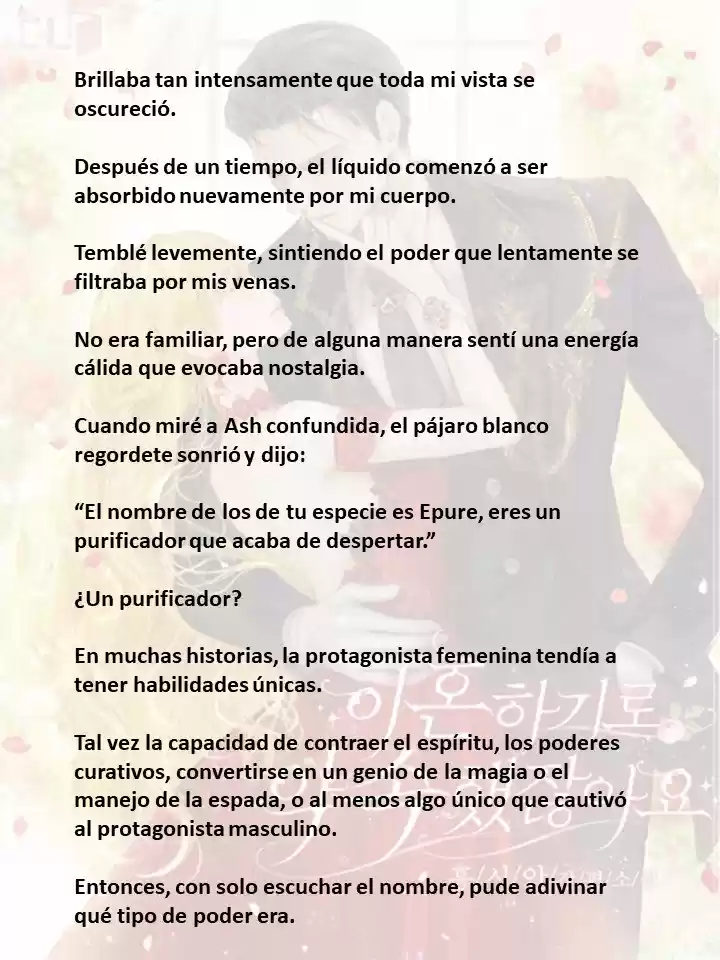 Prometiste Divorciarte De Mí (Novela) - Capítulo 4 - Página 3 - LectorTMOo