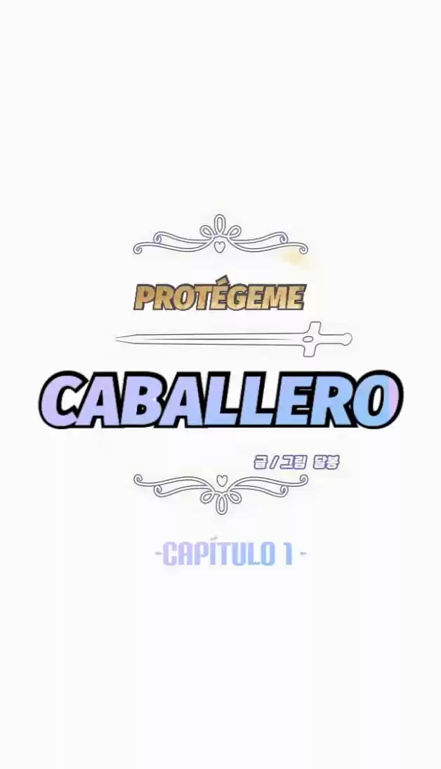 Protégeme Caballero - Capítulo 1 - Página 8 - LectorTMOo