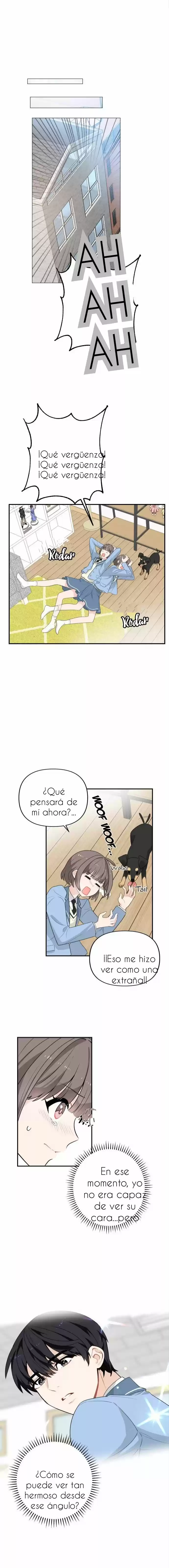 Protégeme Caballero - Capítulo 1 - Página 14 - LectorTMOo