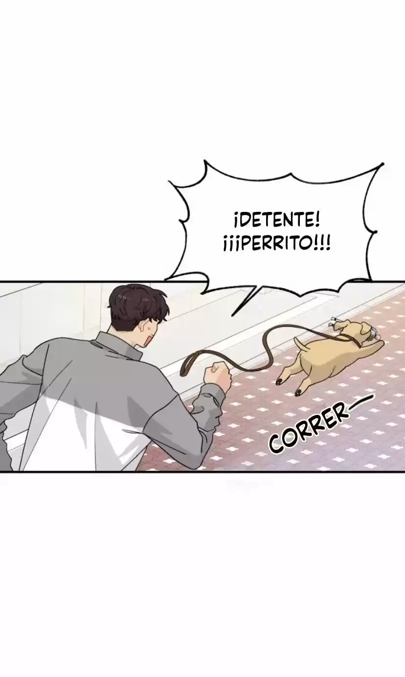 Protégeme Caballero - Capítulo 8 - Página 33 - LectorTMOo