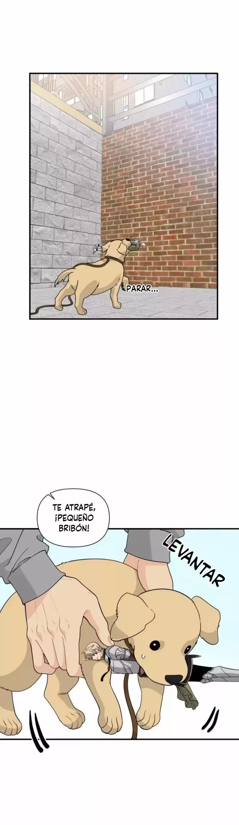 Protect Me, Knight. - Capítulo 8 - Página 35 - LectorTMOo