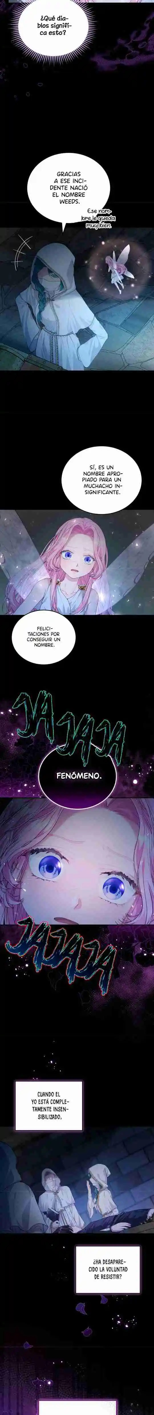 Querida Hada Haz Un Contrato Conmigo - Capítulo 7 - Página 8 - LectorTMOo