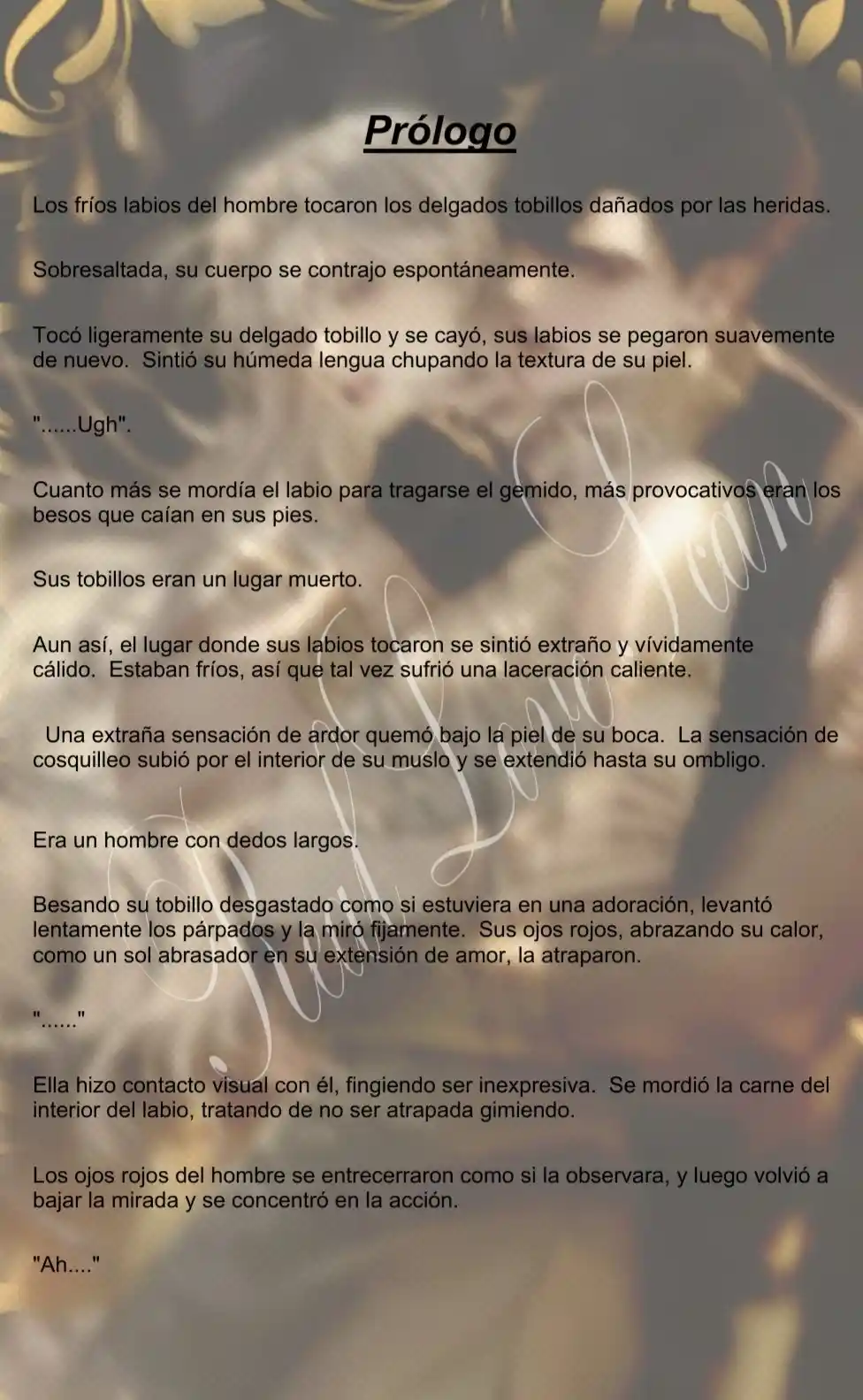 Quien Robo A La Emperatriz (Novela) - Capítulo - Página 4 - LectorTMOo