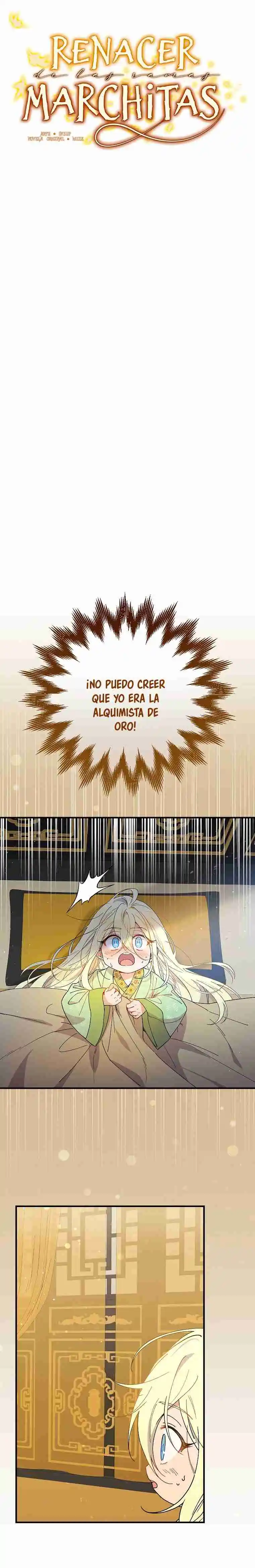 Raga De Ramas Marchitas - Capítulo 96 - Página 13 - LectorTMOo