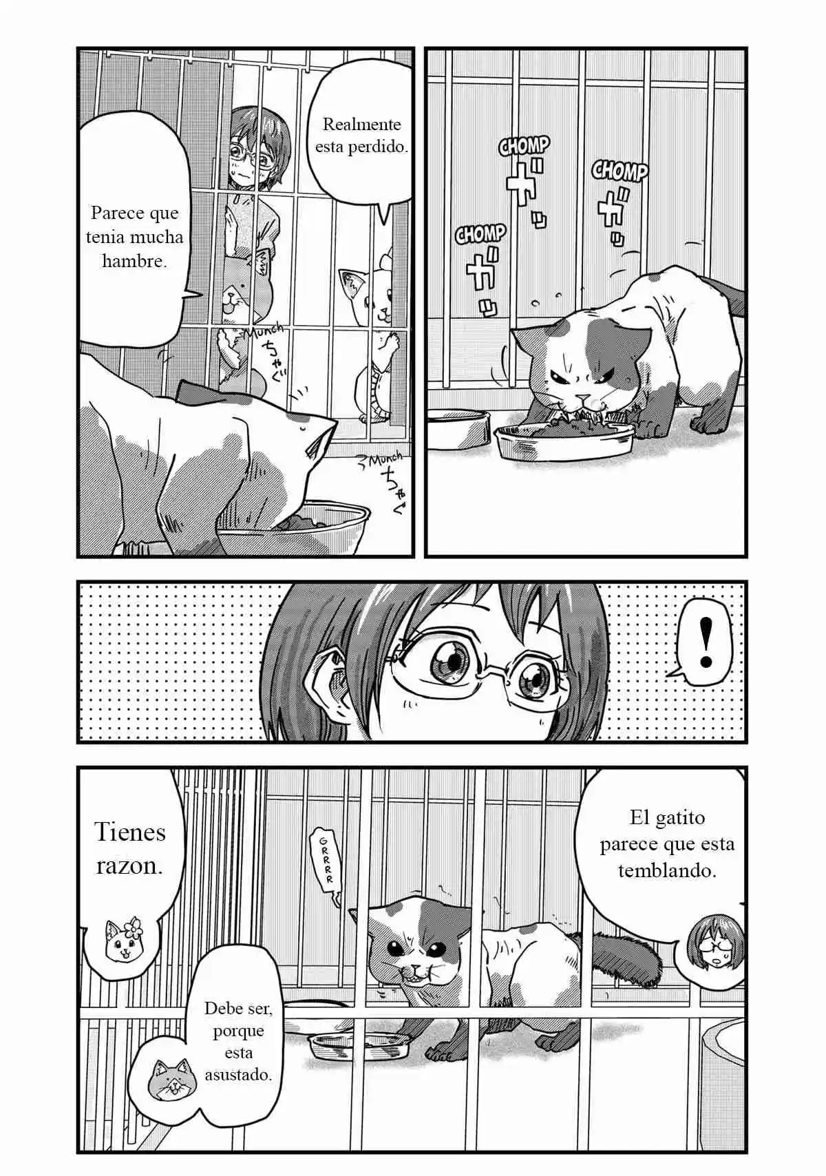 Ramen De Gato Rojo - Capítulo 35 - Página 5 - LectorTMOo