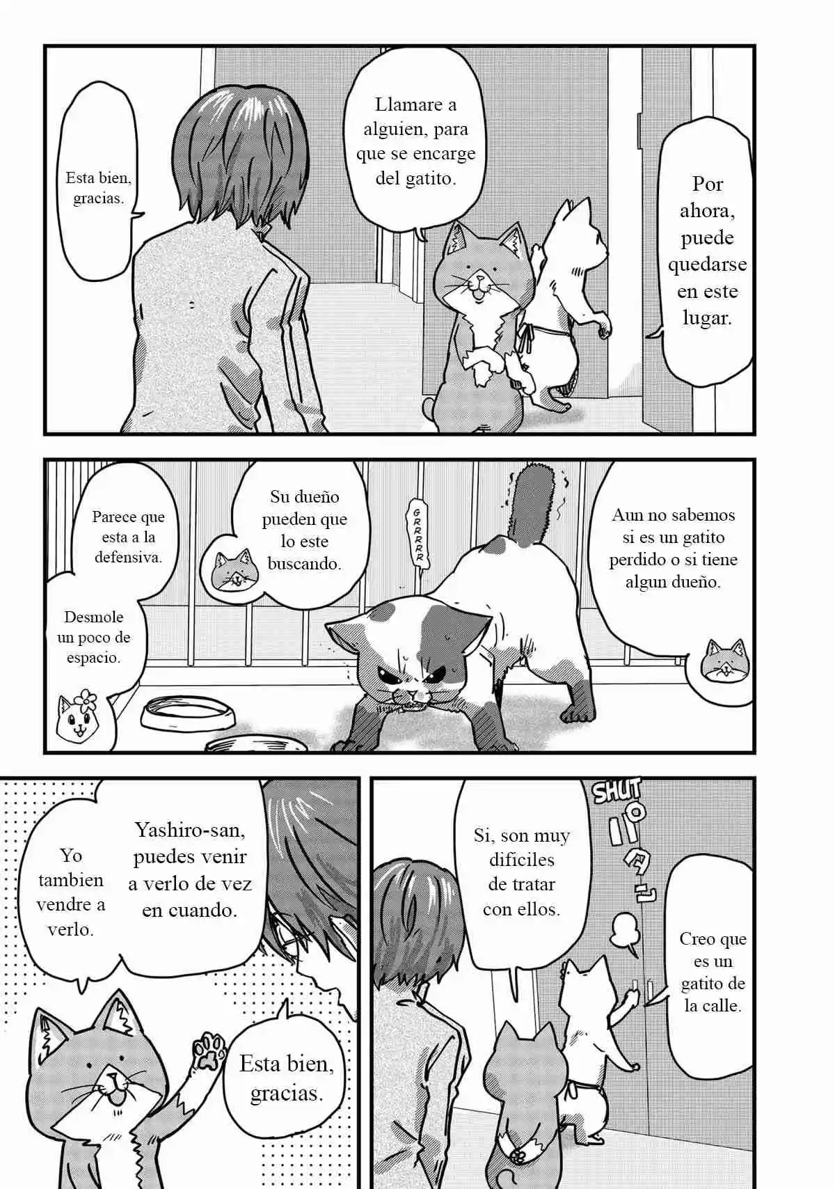 Ramen De Gato Rojo - Capítulo 35 - Página 6 - LectorTMOo
