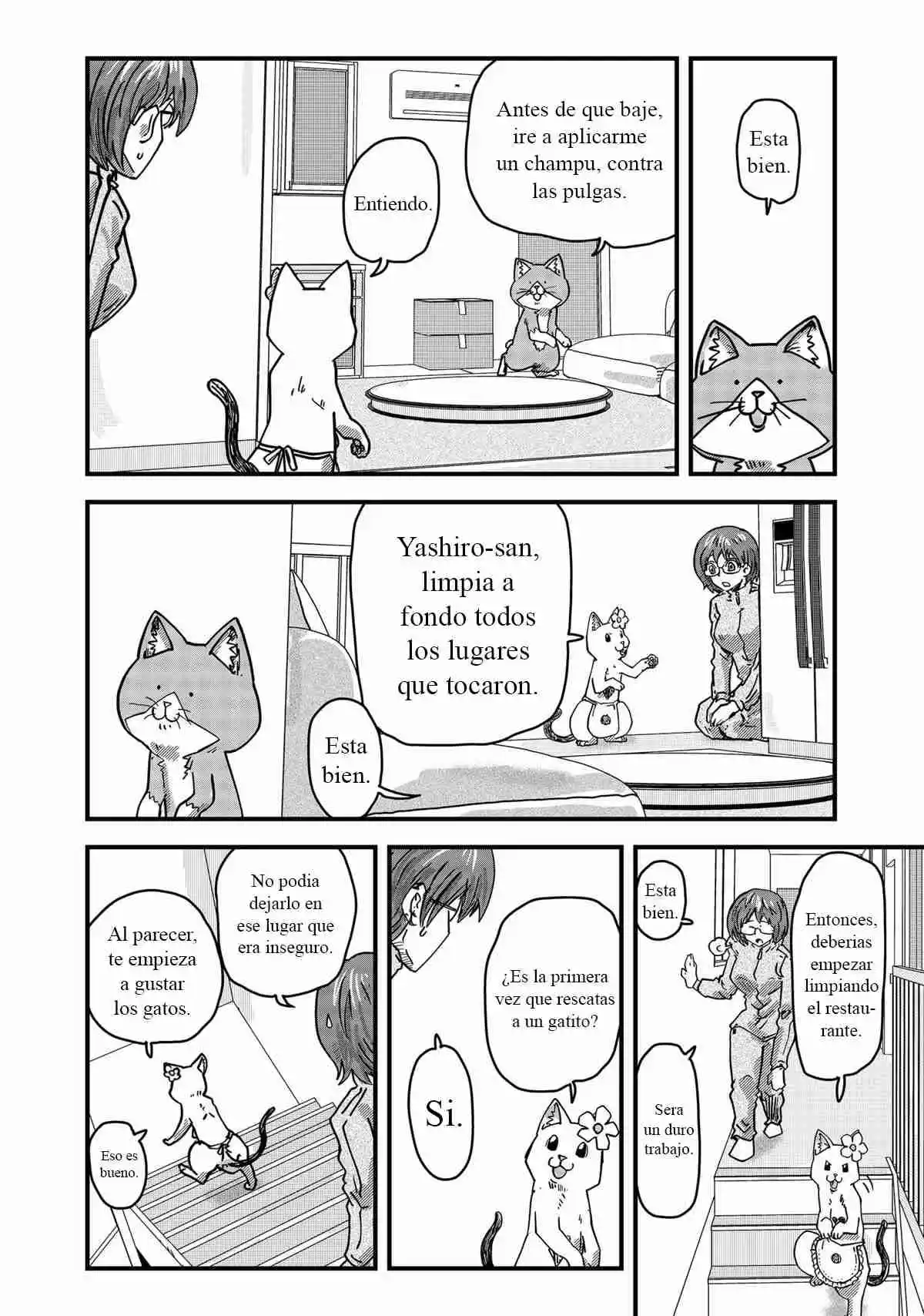 Ramen De Gato Rojo - Capítulo 35 - Página 7 - LectorTMOo